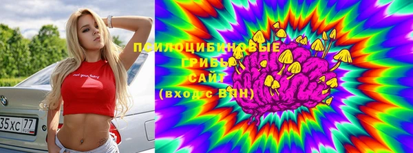 СК Нефтегорск