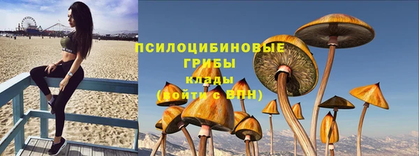 не бодяженный Нефтекумск