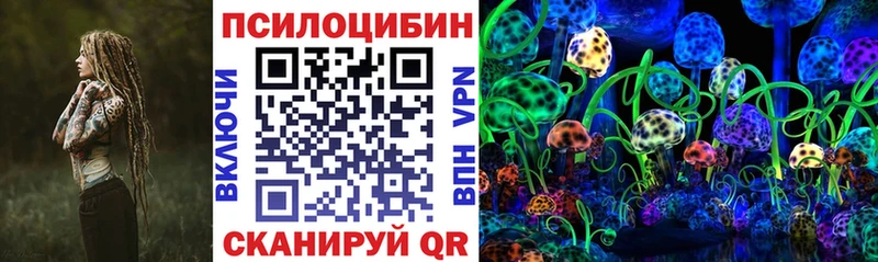 Купить  Оса  Галлюциногенные грибы MAGIC MUSHROOMS 